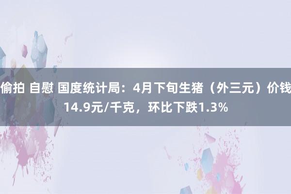 偷拍 自慰 国度统计局：4月下旬生猪（外三元）价钱14.9元/千克，环比下跌1.3%