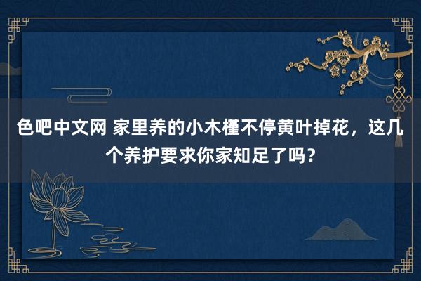 色吧中文网 家里养的小木槿不停黄叶掉花，这几个养护要求你家知足了吗？