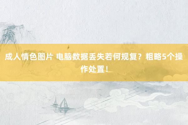 成人情色图片 电脑数据丢失若何规复？粗略5个操作处置！