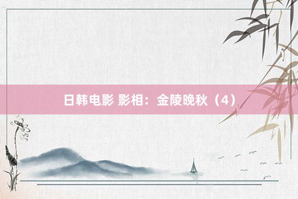 日韩电影 影相：金陵晚秋（4）
