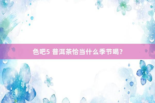 色吧5 普洱茶恰当什么季节喝？