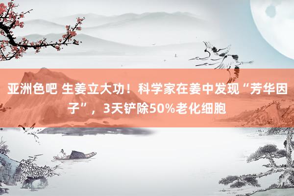 亚洲色吧 生姜立大功！科学家在姜中发现“芳华因子”，3天铲除50%老化细胞