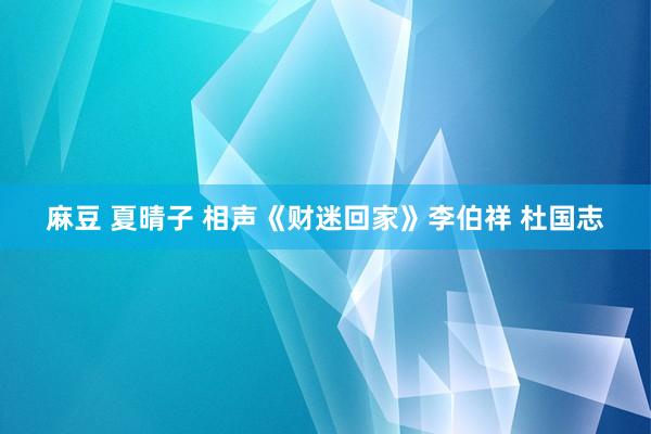 麻豆 夏晴子 相声《财迷回家》李伯祥 杜国志